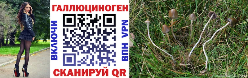 Галлюциногенные грибы прущие грибы  сколько стоит  гидра как войти  Новозыбков 
